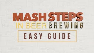 Mash steps in beer brewing easy guide [upl. by Lyrad]