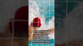 Water Polo Explained [upl. by Hnad]