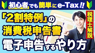 【2024年最新版】2割特例の消費税申告書をeTaxで電子申告するやり方を税理士がわかりやすく解説【確定申告個人事業主 [upl. by Anned]