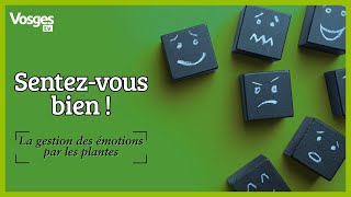 Sentezvous bien  La gestion des émotions par les plantes [upl. by Cyrus]