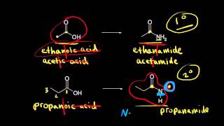 Nomenclature and properties of amides  Organic chemistry  Khan Academy [upl. by Olethea369]