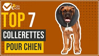 Collerettes pour chien  Top 7  BonChoix [upl. by Dugas]