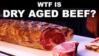 What is dry aged beef Since when is drier meat good [upl. by Dira62]