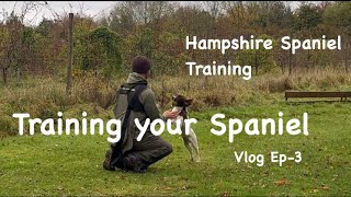 ￼ Gundog left and right retrievesquotBillys Vlog Ep3quot [upl. by Welton]