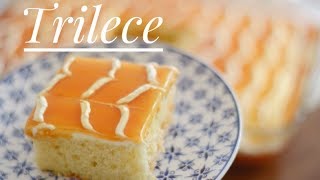 Tres Leches cake recipe Milky Caramel Cake Turkishstyle Trilece [upl. by Orpha37]