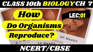 Reproduction Class 10th  How do organisms reproduce Biology class 10th  Lecture 01 [upl. by Wivestad909]