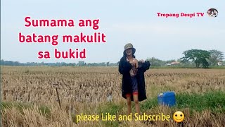 Sumama si Sofia sa bukid 🙂 patubig na tayo ulit umpisa na naman tayo [upl. by Nolyag]