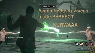 Hogwarts Legacy  Avada Kedavra voice made PERFECT  kurwa [upl. by Christianna847]