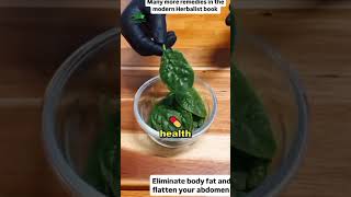 How To Eliminate Body Fats in Few Days With Natural Remedy [upl. by Chace699]