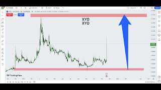 XYO XYO Crypto Price Prediction 2024 [upl. by Llenahs]