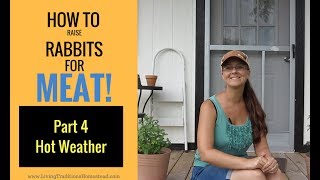 How to Raise Rabbits for Meat Part 4 Keeping Rabbits Cool in Hot Weather [upl. by Rasmussen]