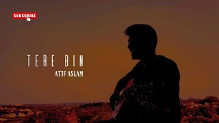 Tere Bin  Atif Aslam Cover  Shyam Pareek [upl. by Otrevogir446]