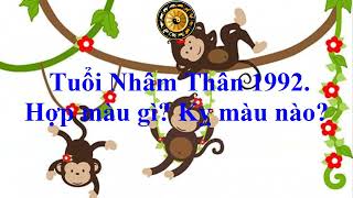 Tuổi Nhâm Thân 1992 Hợp màu gì Kỵ màu nào [upl. by Ehsrop636]