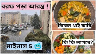 জার্মানিতে তুষারপাত আরাম্ভ দারুন টেস্টি amp হেলথি চিকেন গ্রিন থাই কারি রেসিপি দিয়ে লাঞ্চ জমে গেলো [upl. by Baal]