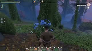 Enshrouded Best Indigo Plant amp Flax Farming Location [upl. by Sheri]