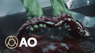 New Zealand’s Colossal Squid is No Joke  Object of Intrigue  Atlas Obscura [upl. by Lerat]