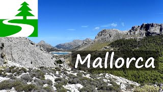 Die schönsten Wanderungen auf Mallorca [upl. by Scarito]