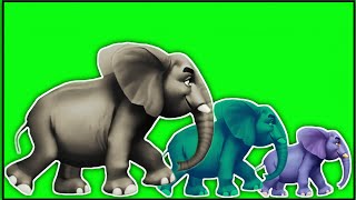 Elephant 🐘 Stampede Green Screen  Animal Stampede and Running Video‼️ [upl. by Ellimak]