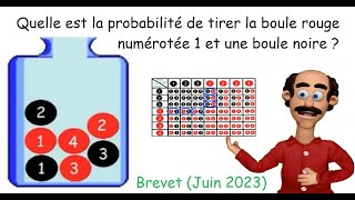 Calculs de probabilités pour des expériences aléatoires à une puis à deux épreuves tableau et arbre [upl. by Luby]