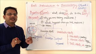 Pharmacokinetic and Pharmacodynamic  General Pharmacology  General Pharmacology  ADME Concepts [upl. by Llerej734]