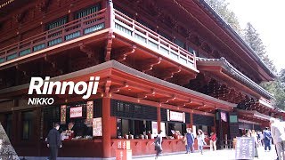 Rinnoji Nikko  Japan Travel Guide [upl. by Burford]