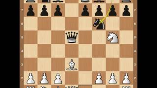 Chess Openings Danish Gambit [upl. by Ellinehc698]