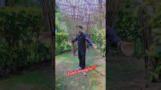 Jaan maagla😘 love vairalvideo ytstuduo saptarishivnathvlogs bhojpuri trendingshorts song [upl. by Ammann]