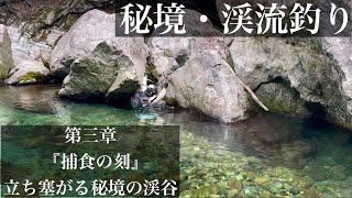 【秘境】【渓流釣り】【テンカラ】第三章『捕食の刻』立ち塞がる秘境の渓谷 [upl. by Atinna]