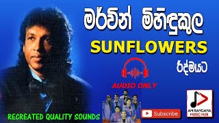 SUNFLOWER WITH MERVIN MIHINDUKULA LIVE SHOW AUDIO පැරණි සන්ෆ්ලවර්ස් RECREATED QUALITY SOUNDS [upl. by Gruber131]