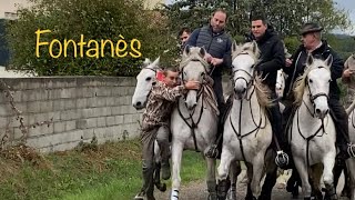 Abrivado à Fontanes 🇫🇷 le 04112023 Un bon charbonnage 😁👍🏼 [upl. by Annabel]