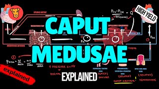 CAPUT MEDUSAE Pathogenesis of signs and symptoms in Medicine [upl. by Ahteres]