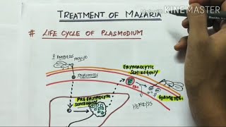 treatment of malaria  pharmacology  handwritten notes [upl. by Sone]