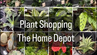 Plant Shopping  The Home Depot [upl. by Newfeld457]