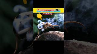 🐞  Can Fire Boiling Liquid ॥ Virendra Pankaj amazing facts shorts [upl. by Yssor]