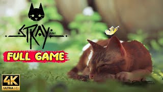 STRAY Gameplay Walkthrough FULL GAME 4K ULTRA HD  No Commentary [upl. by Aramat160]