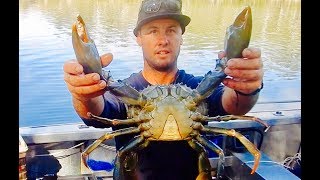 Boatcamping Spearfishing Crab Trapping Adventure [upl. by Fionnula278]