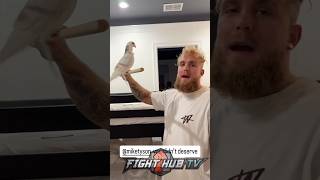 Jake Paul gives UPDATE on Mike Tysons NEW PET [upl. by Nosahc489]