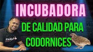 Incubadora de Calidad para Codornices [upl. by Felix]