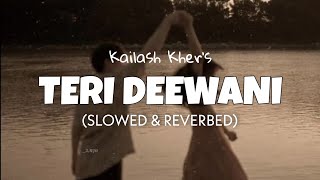 Teri Deewani Slowed  Reverb  Kailash Kher  Lofi edits [upl. by Eelah346]