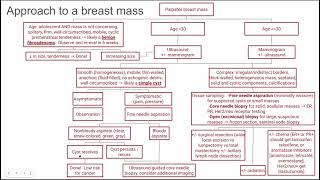 Approach to breast mass [upl. by Ynnaffit]