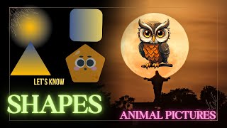 Shapes in English  Geometric shapes  Animal Pictures  Shapes Song [upl. by Lerrej]