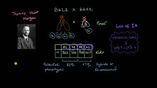 Chromosomes linkage and recombination  Part 2  Principles of Inheritance  Biology  Khan Academy [upl. by Ellerred435]