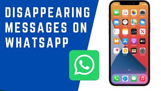 How to Enable Disappearing Messages on WhatsApp in iPhone [upl. by Pas]