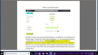 What is pCloud Crypto [upl. by Leerzej985]