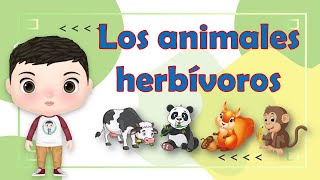 ANIMALES Y SU UTILIDAD [upl. by Dnalel]