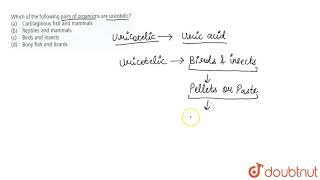 Which of the following pairs of organisms are uricotelic [upl. by Ahseyk]