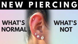 New Piercing Whats Normal Whats Not Things to Look Out For [upl. by Dhar778]