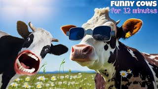 FUNNY COW DANCE FOR 12 MINUTES STRAIGHT  Cow Song amp Cow Videos 2024  Cow dance mix  dancing cow [upl. by Amerd]