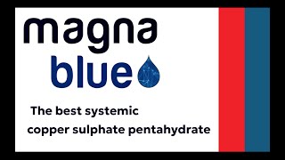 The best copper sulphate pentahydrate for use in Organic Farming and IPM Magnablue [upl. by Fenella]