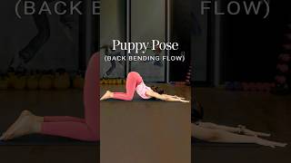 Puppy Pose  Back Bending Flow  Yoga For Strength  Yoga Back Stretch  Yoga Flow shorts [upl. by Kaufman140]